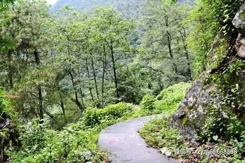 团结凝聚力量 奋斗成就梦想 担当创造未来|省政协十三届二次会议掠影