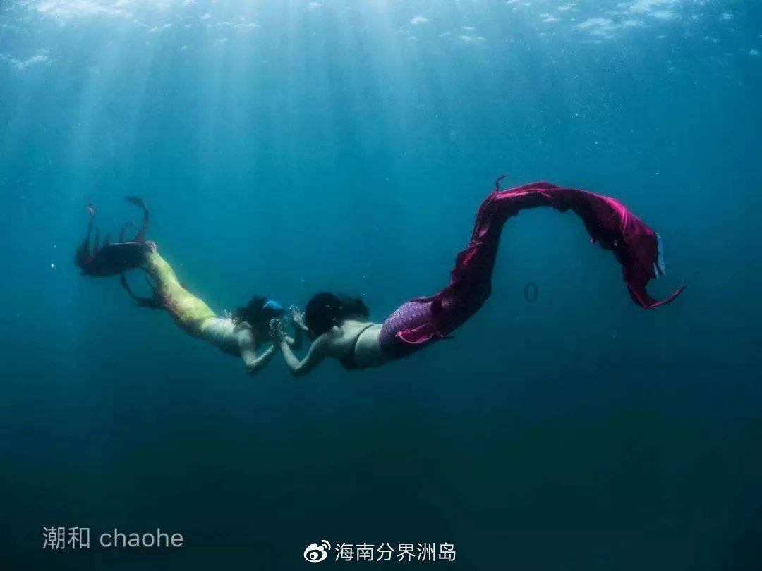 逗小猴开心系列205