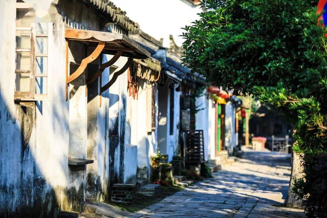 学习易经的目的是什么？游戏画面