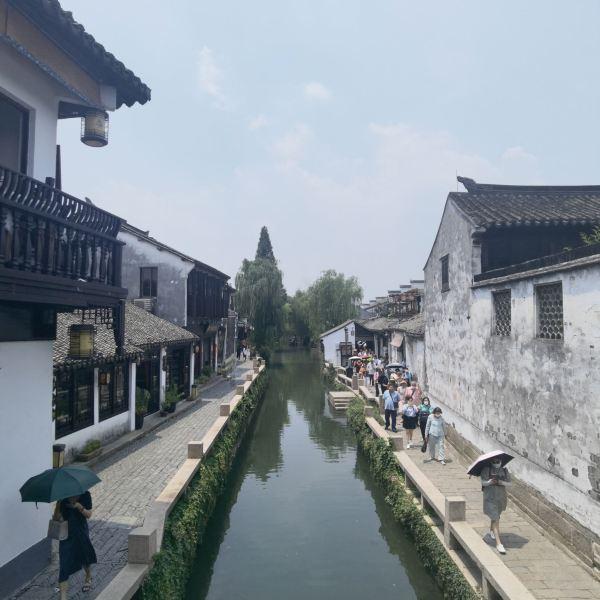 爱吃叶子的毛毛虫